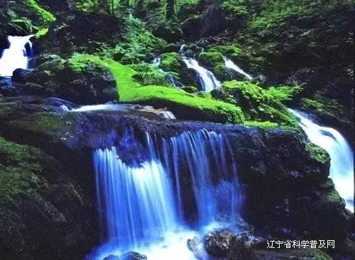 hahabet官网官方入口